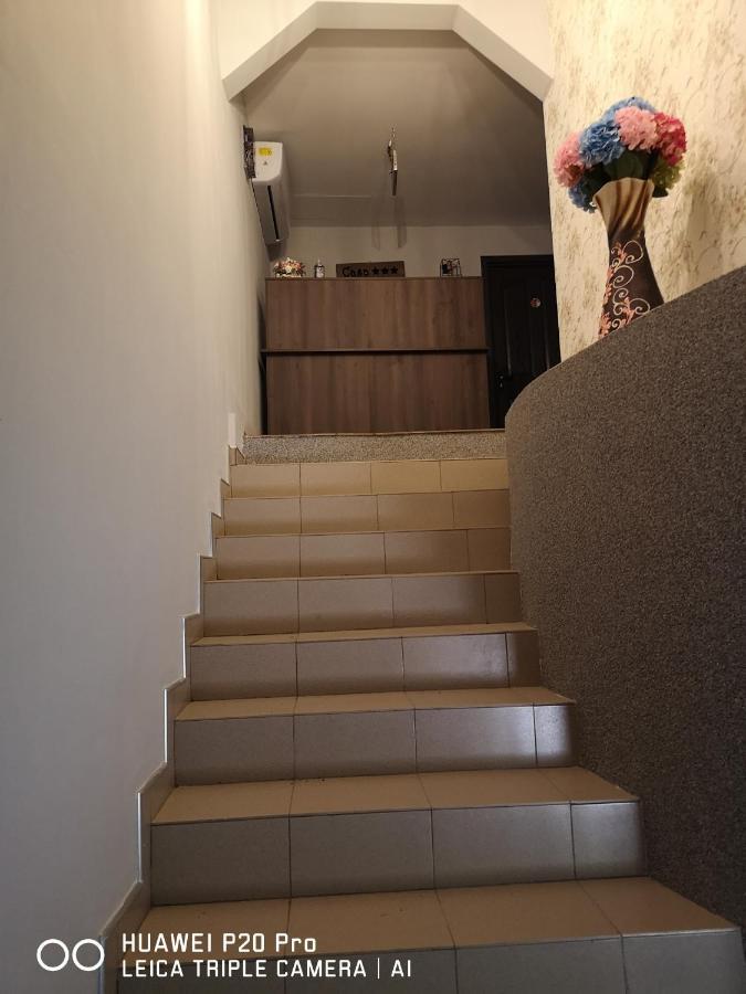 Casa Hortensia Tasnad Luaran gambar