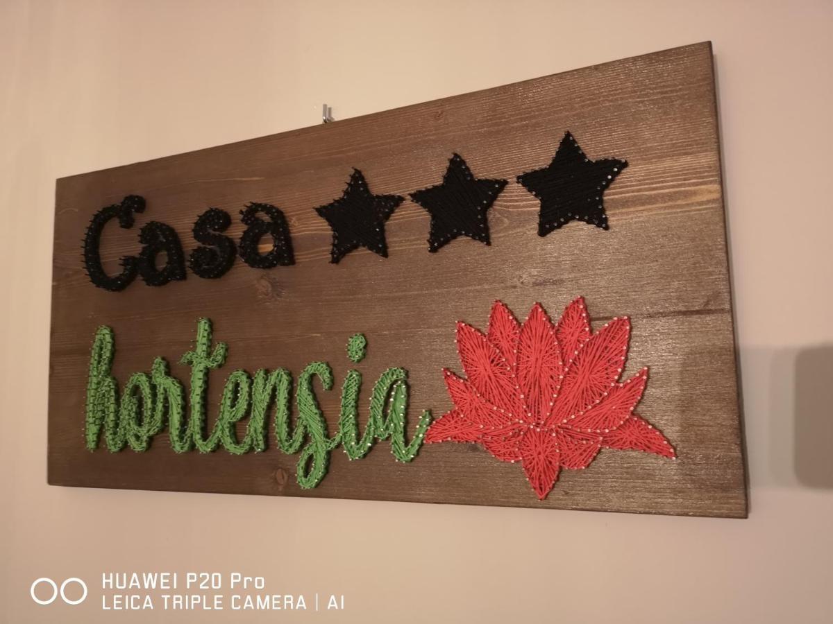 Casa Hortensia Tasnad Luaran gambar